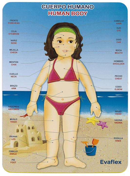 Rompecabezas Evaflex Foamy Cuerpo Niña Idioma 20**29cm 11pza